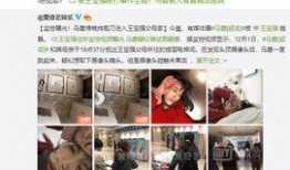 娱乐记者爆料视频下载网站,一键获取独家娱乐资讯！